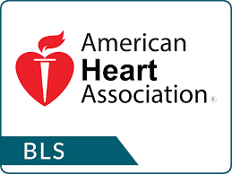 Basic Life Support American Heart Association